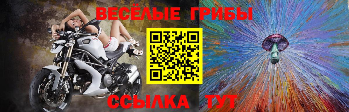 Череповец  Галлюциногенные грибы GOLDEN TEACHER  Вход с VPN  Галлюциногенные грибы ЛСД 