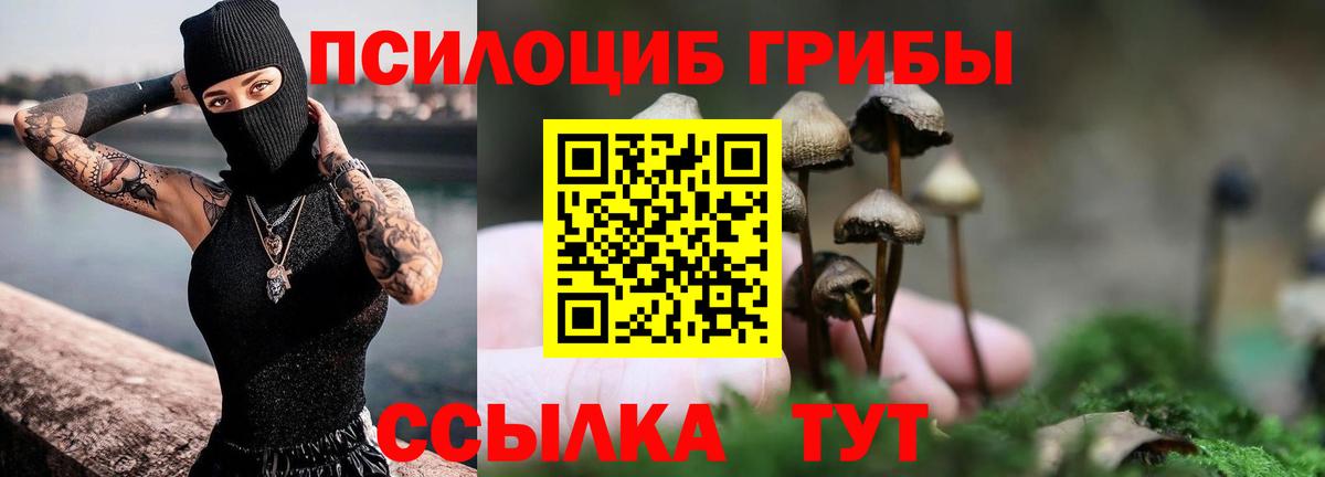Псилоцибиновые грибы прущие грибы Череповец